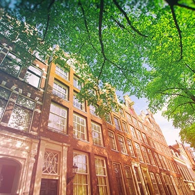 Woningen en boom Amsterdam